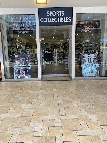Sports Collectibles