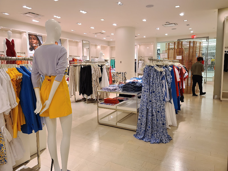 Ann Taylor