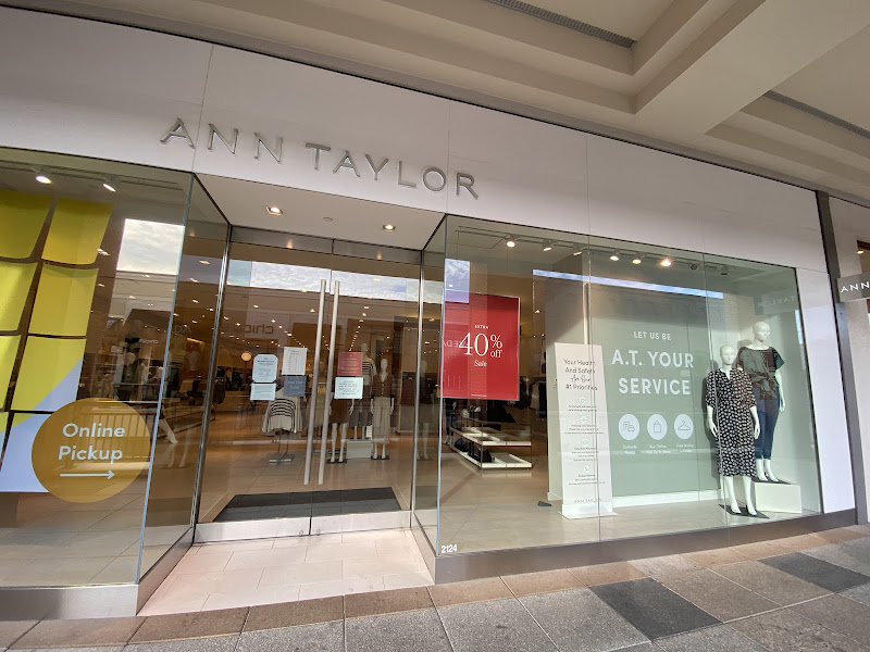 Ann Taylor