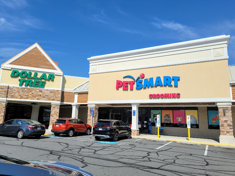 Dollar Tree