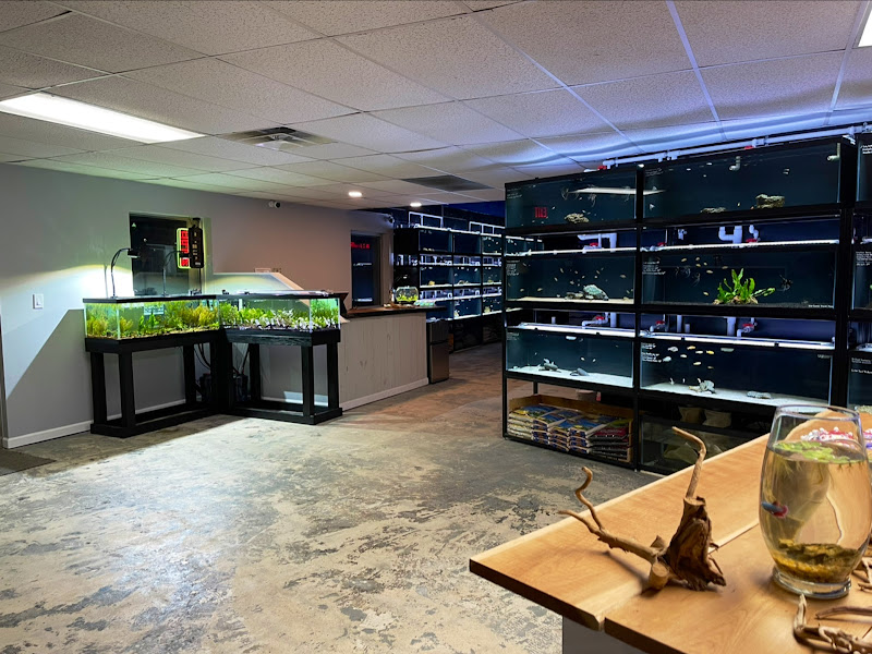 Fluid Dynamics Aquarium Services and Store