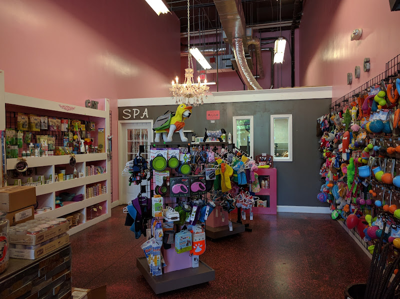 Woof Gang Bakery & Grooming Asheville