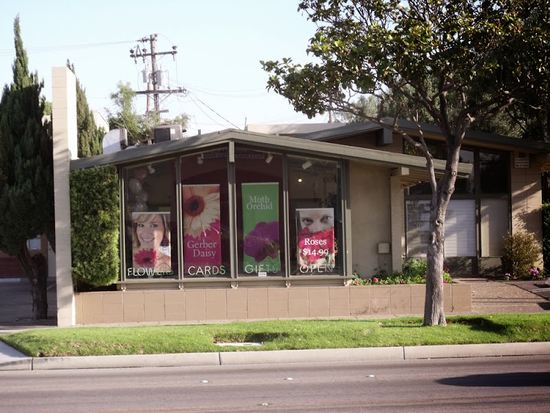 Rose of Sharon Florist