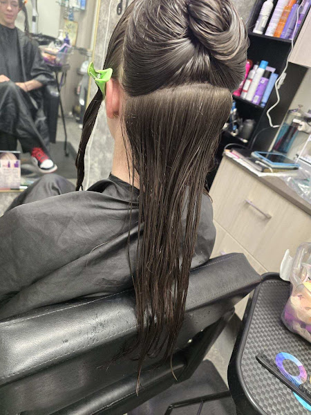 Renee's Hair Show