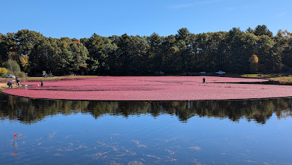 The Nature Trail & Ocean Spray Cranberry Bog