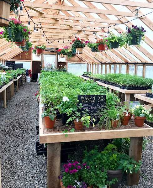 Woods Rose Market
