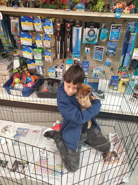 Family Pet & Aquarium-Nashua
