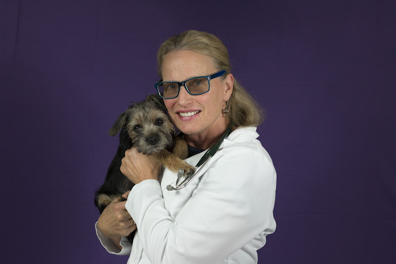 Easthaven Animal Hospital