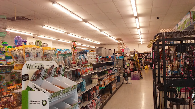 Blackwinds Pet Supplies