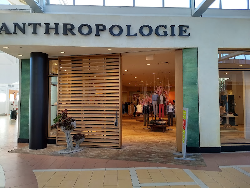 Anthropologie
