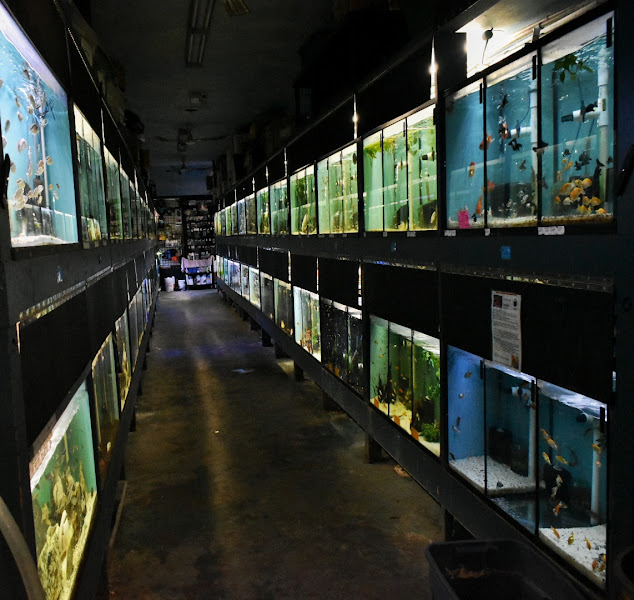 Aquarists Across Canada