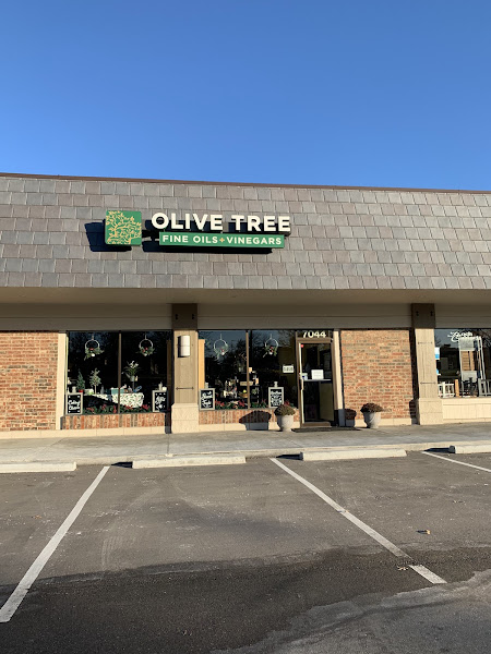 Olive Tree
