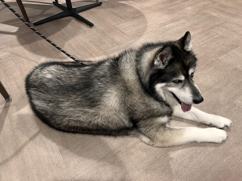 PetSmart Grooming