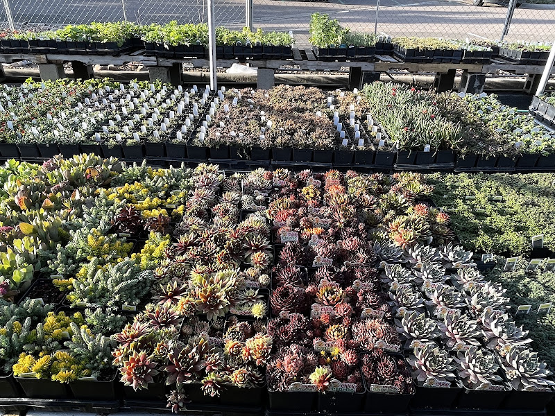 Giambrocco & Sons Shop 2