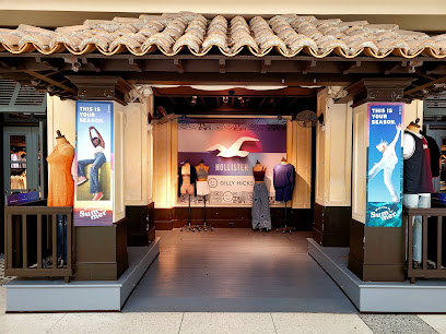 HOLLISTER Co.