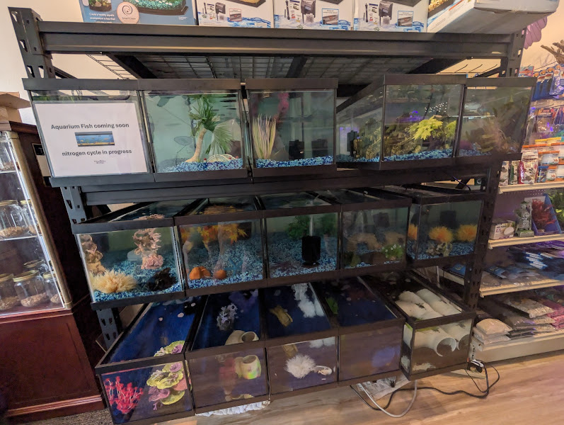 Evanston Pet Center