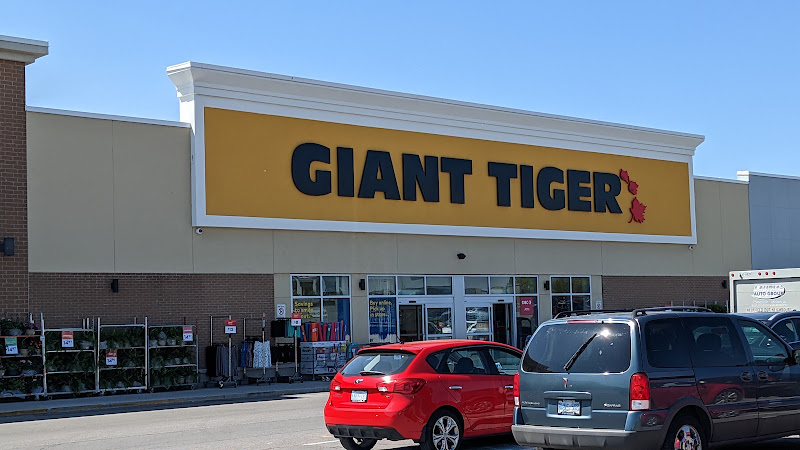 Giant Tiger