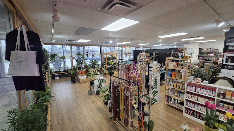Willow Floral Studios
