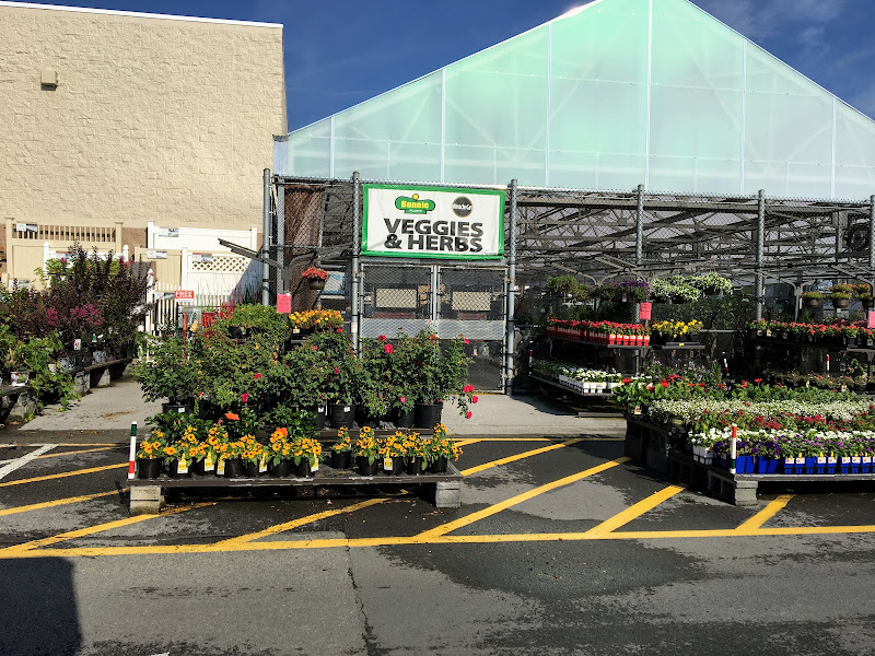 Lowe's Garden Center