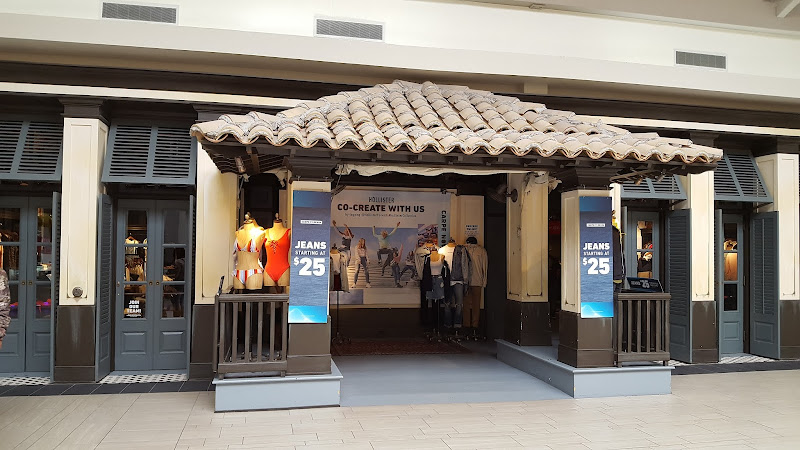 Hollister Co.