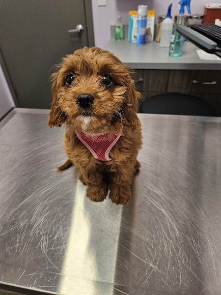 Parkway Veterinary Center