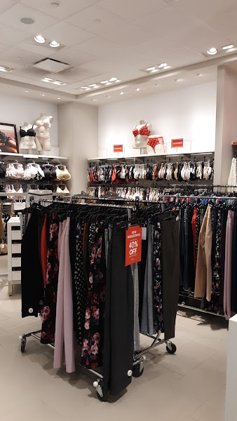 Lane Bryant