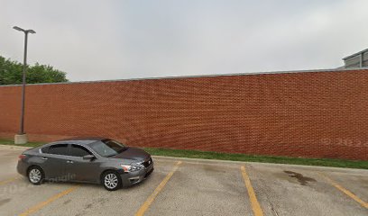 Tint & Alarm By Aes