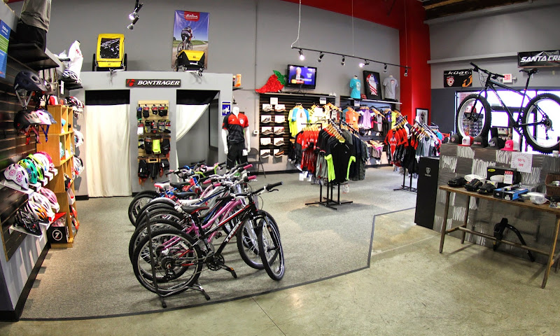 Phat Tire Bike Shop