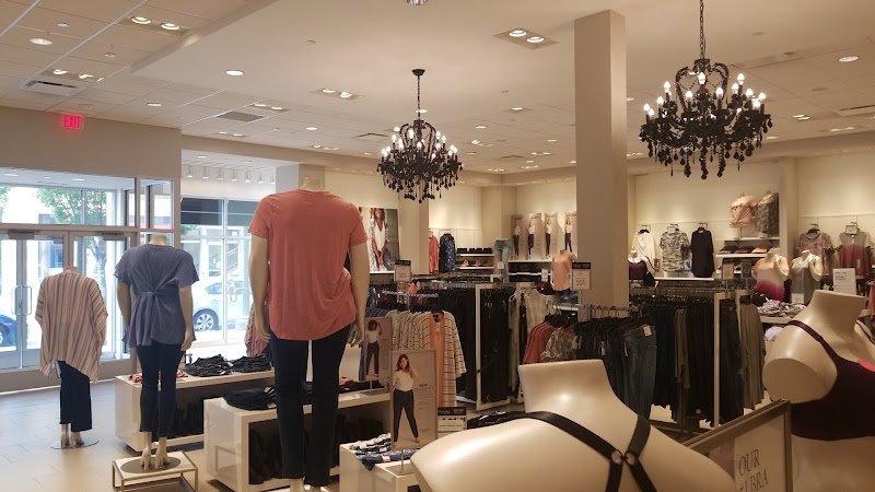 Lane Bryant