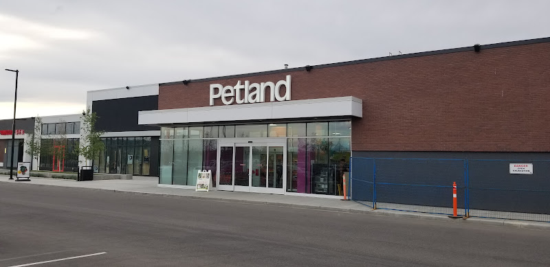 Petland
