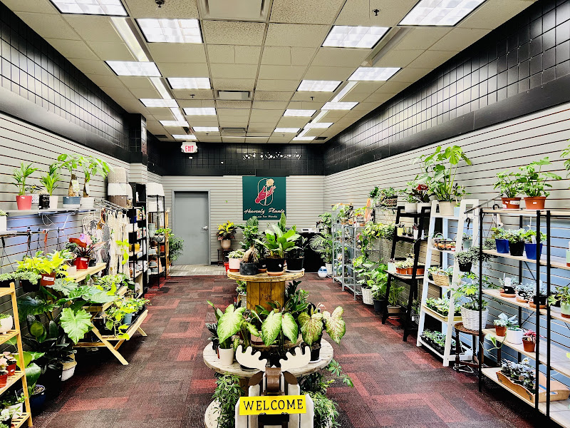 Heavenly Plants & Floral