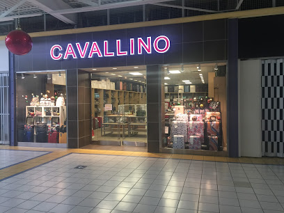 Cavallino