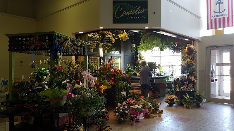 Camelia Florist