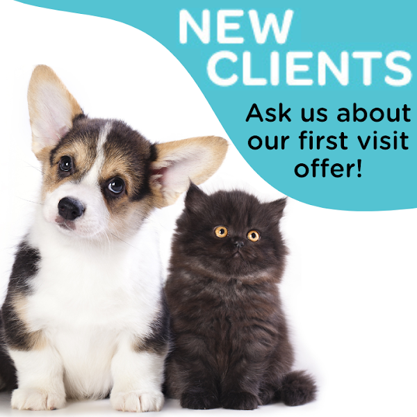 Westwood Veterinary Hospital