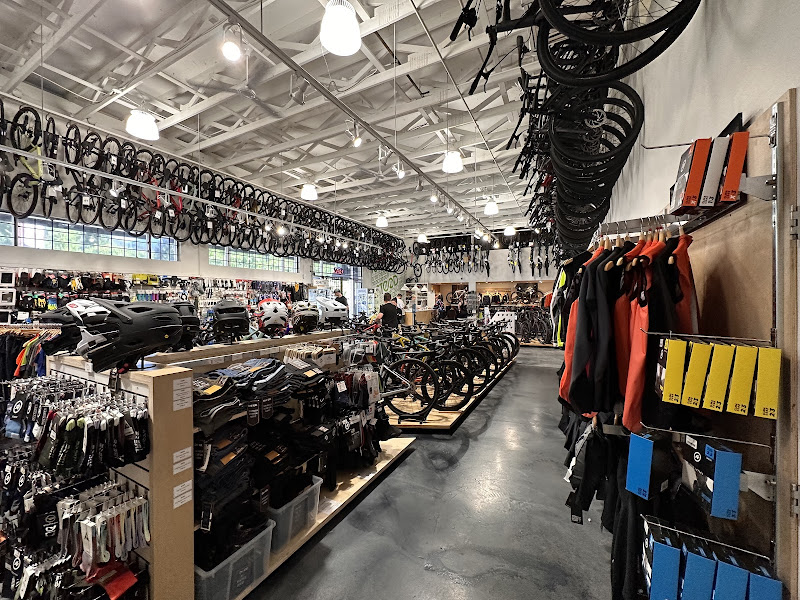 Steed Cycles