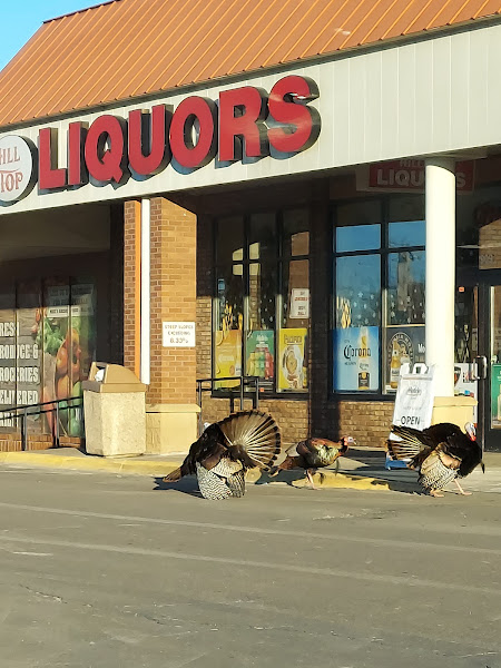 Hilltop Liquors
