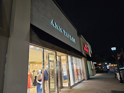 Ann Taylor