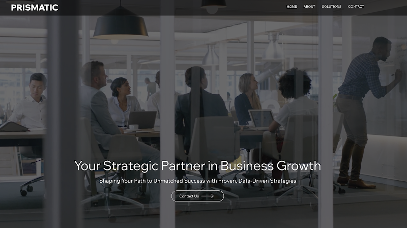 PRISMATIC LLC