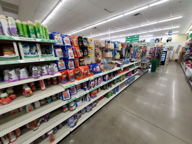 Dollar Tree