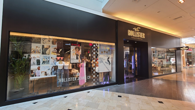 Hollister Co.