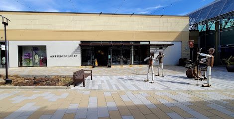 Anthropologie