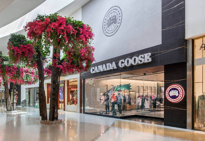 Canada Goose