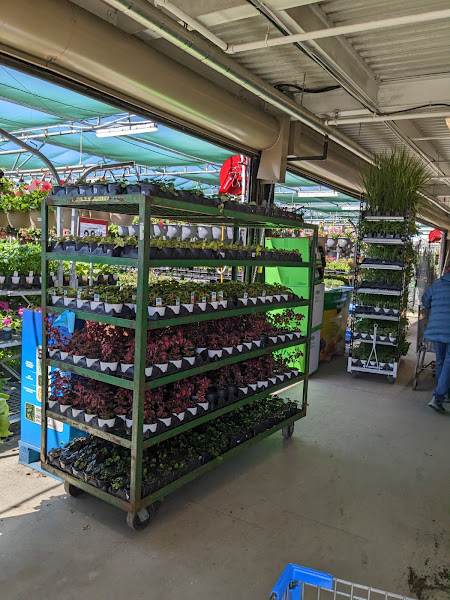 Walmart Garden Centre