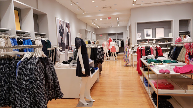 Ann Taylor