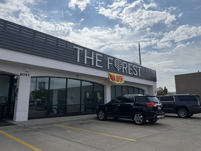 The Forest Murray