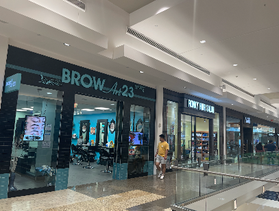 Brow Art 23