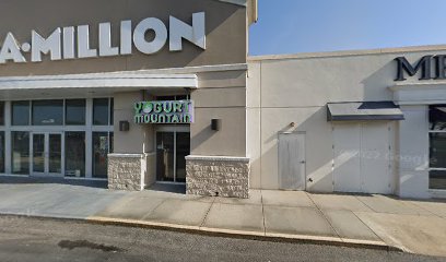 Wild Paisley Salon