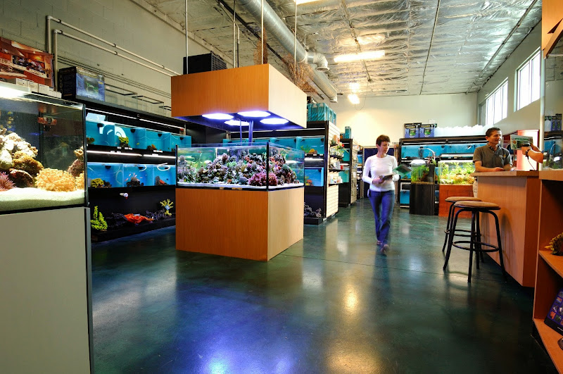 Age of Aquariums