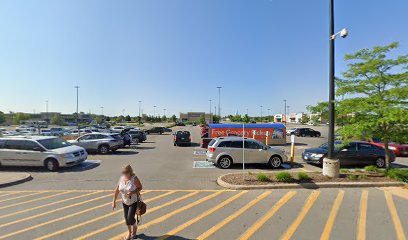 PetSmart Dog Training