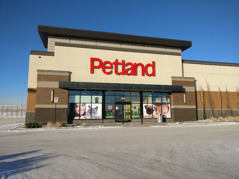 Petland Manning